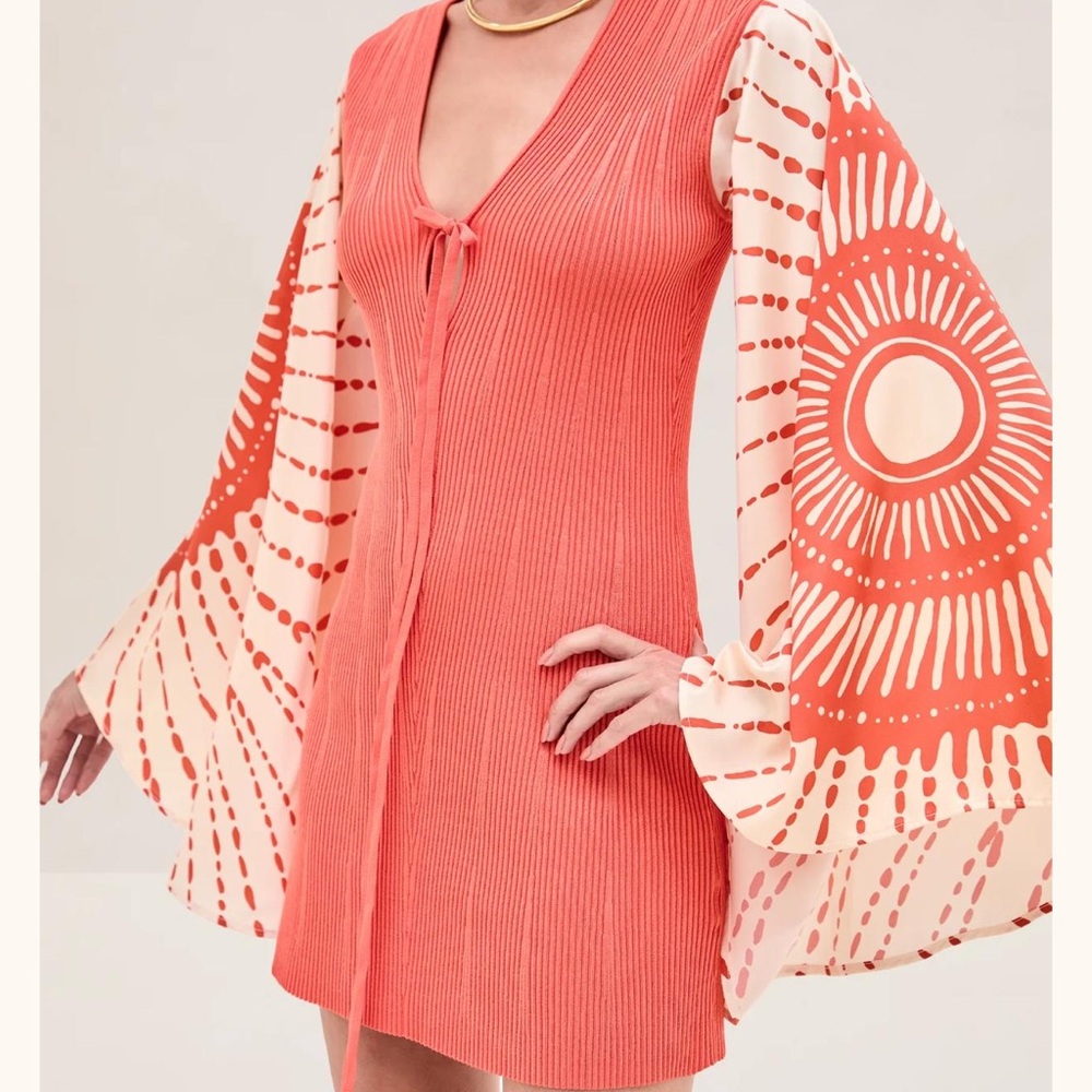 Lay Dress - ALEXIS NWT